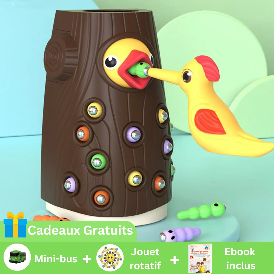 FeedingBird™-Jouets magnétique attrape-ver | Jeux enfants - ENFANTS EUREKA